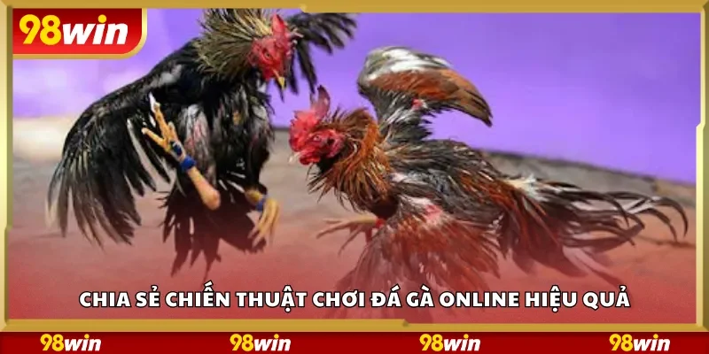 Chia sẻ chiến thuật chơi đá gà online hiệu quả