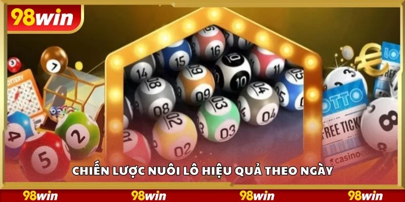 Chiến lược nuôi lô hiệu quả theo ngày